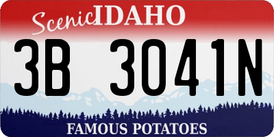 ID license plate 3B3041N