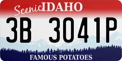 ID license plate 3B3041P