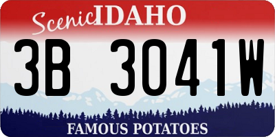 ID license plate 3B3041W