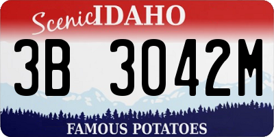 ID license plate 3B3042M