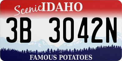 ID license plate 3B3042N