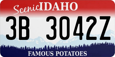 ID license plate 3B3042Z
