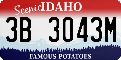 ID license plate 3B3043M