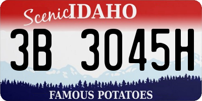 ID license plate 3B3045H