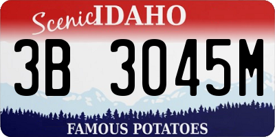 ID license plate 3B3045M