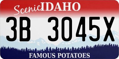 ID license plate 3B3045X