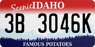 ID license plate 3B3046K