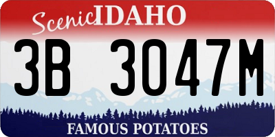 ID license plate 3B3047M