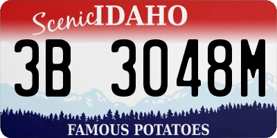 ID license plate 3B3048M