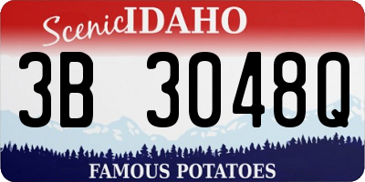 ID license plate 3B3048Q