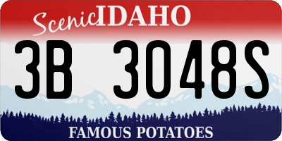 ID license plate 3B3048S