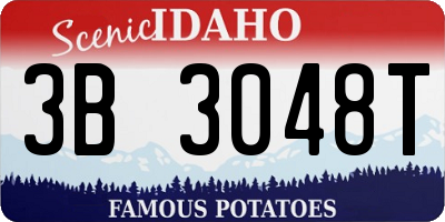 ID license plate 3B3048T