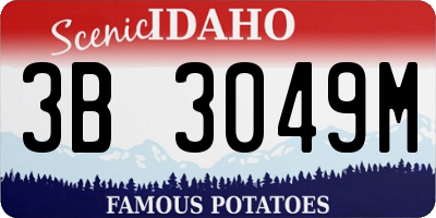 ID license plate 3B3049M