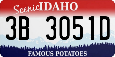 ID license plate 3B3051D
