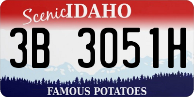 ID license plate 3B3051H