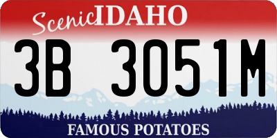 ID license plate 3B3051M