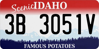 ID license plate 3B3051V