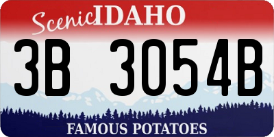 ID license plate 3B3054B