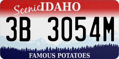 ID license plate 3B3054M