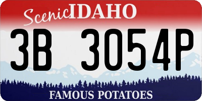 ID license plate 3B3054P