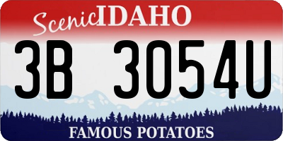 ID license plate 3B3054U