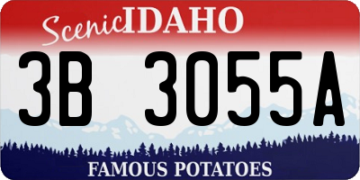 ID license plate 3B3055A