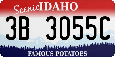 ID license plate 3B3055C