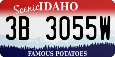 ID license plate 3B3055W