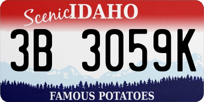 ID license plate 3B3059K