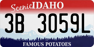 ID license plate 3B3059L