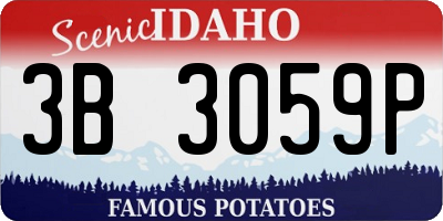ID license plate 3B3059P