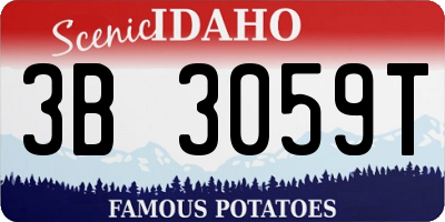 ID license plate 3B3059T