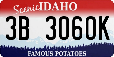 ID license plate 3B3060K