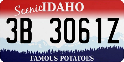 ID license plate 3B3061Z