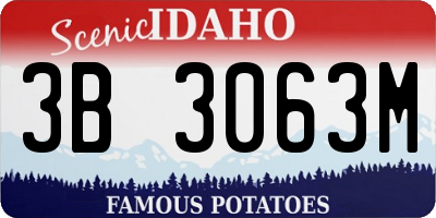 ID license plate 3B3063M