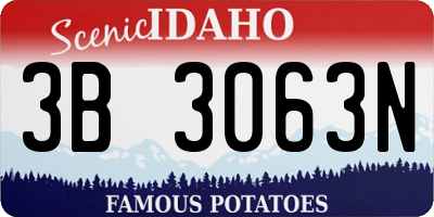 ID license plate 3B3063N