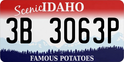 ID license plate 3B3063P