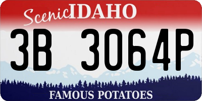 ID license plate 3B3064P