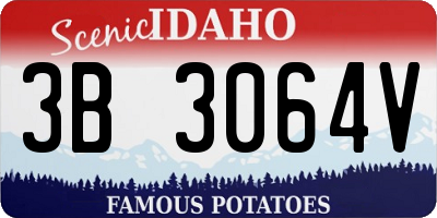 ID license plate 3B3064V