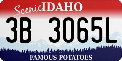 ID license plate 3B3065L