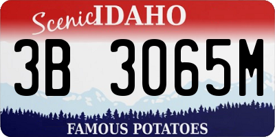 ID license plate 3B3065M