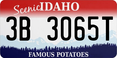 ID license plate 3B3065T
