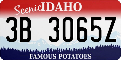 ID license plate 3B3065Z