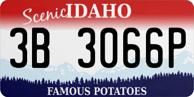 ID license plate 3B3066P