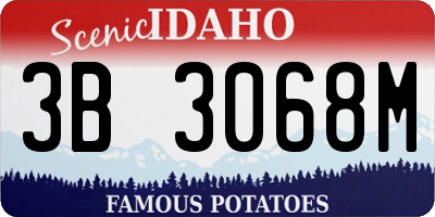 ID license plate 3B3068M