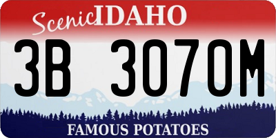 ID license plate 3B3070M