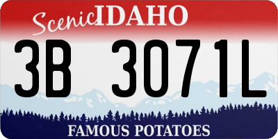 ID license plate 3B3071L