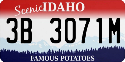 ID license plate 3B3071M