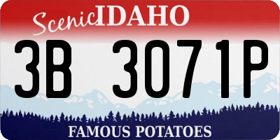 ID license plate 3B3071P