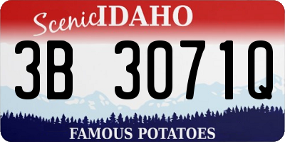 ID license plate 3B3071Q